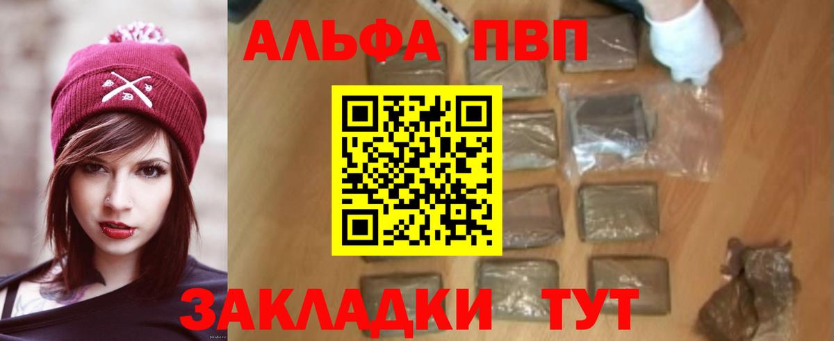 Альфа ПВП СК Можга