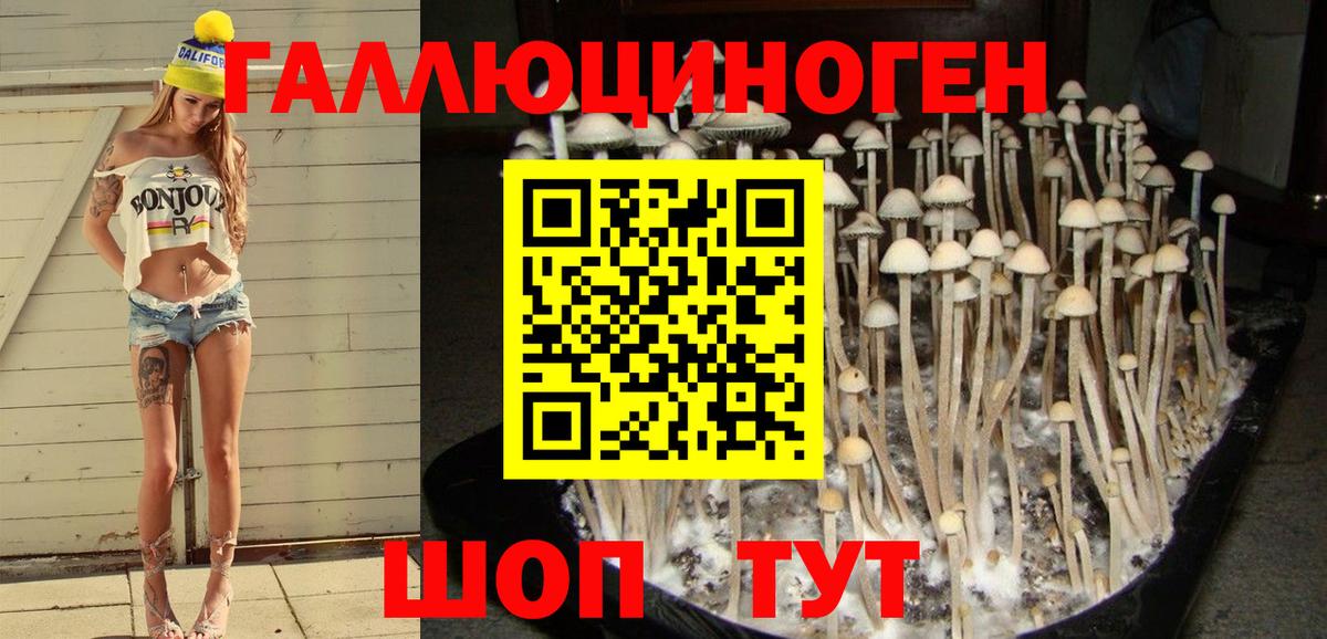 Можга  Галлюциногенные грибы мицелий  Вход с VPN 